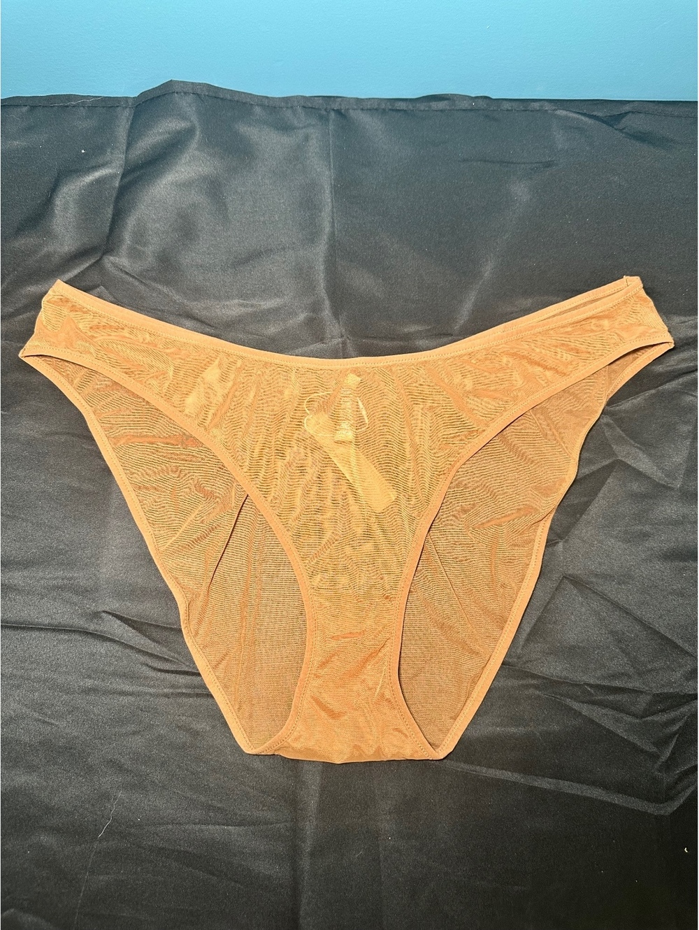 Skims Ultra Fine Mesh Bikini Panty in Bronze Size 4X